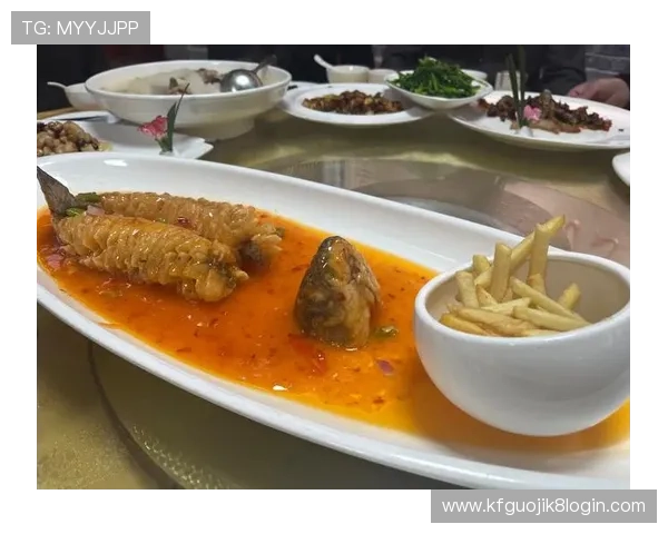 K8扑鱼登陆遇到常见问题怎么办快速解决登录难题指南