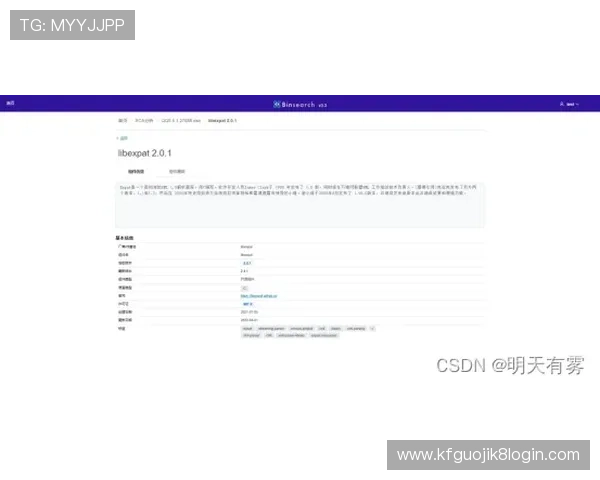 k8网站登录会员账号安全保护的最佳实践分享