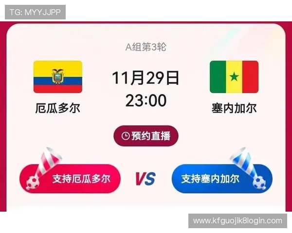 世界杯法国塞内加尔赛场突发事件风险评估与观众安全保障指南